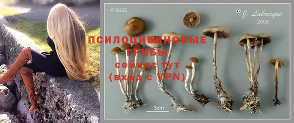 стафф Пестово