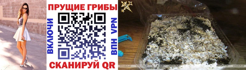 где продают наркотики  Бабаево  мега как зайти  Галлюциногенные грибы мухоморы 